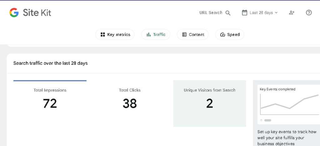 Beginner learning WordPress SEO using website analytics and search optimization tools